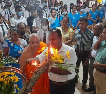 Untitled design 4 360x320