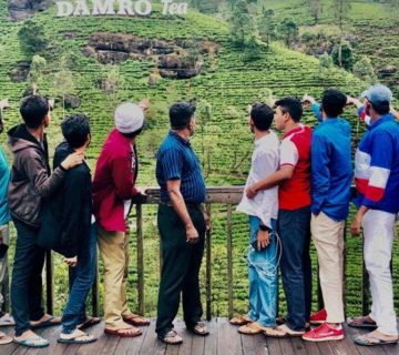 Untitled design 5 360x320