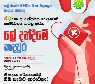 WhatsApp Image 2024 11 04 at 21 00 09 360x320